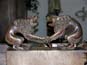 Les deux lions